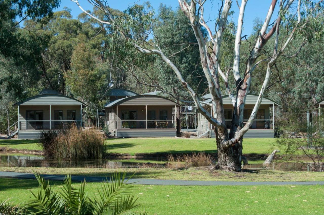 Tasman Holiday Parks - Moama On The Murray Екстериор снимка